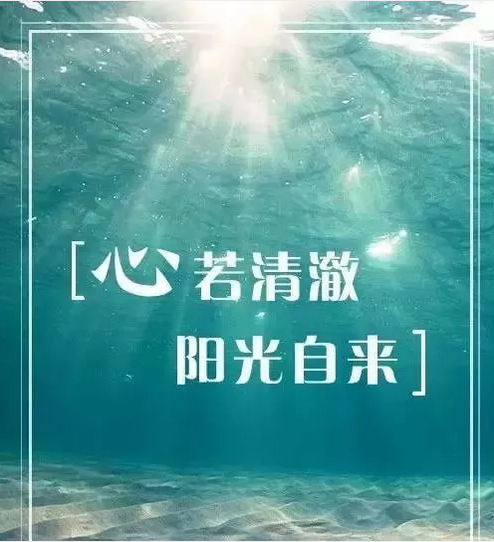 QQ截图20180724091000.png