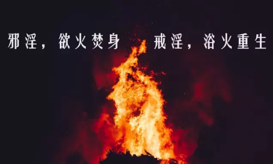 QQ截图20190102160726.png