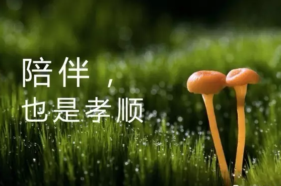 QQ截图20190320093127.png