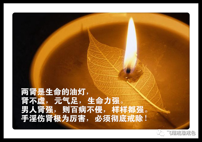 微信图片_20201102085143.png