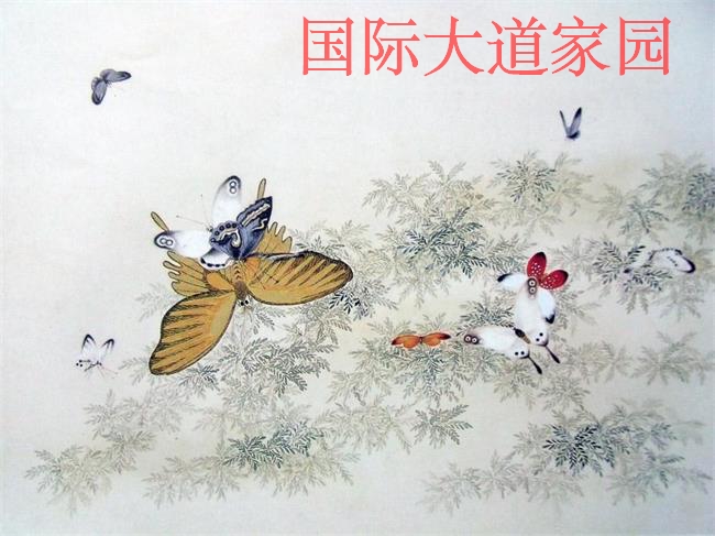 timg迭_看图王.jpg