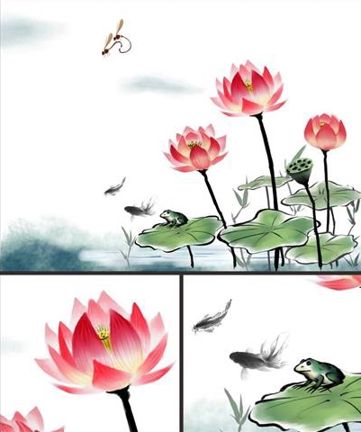 timg5_看图王.jpg