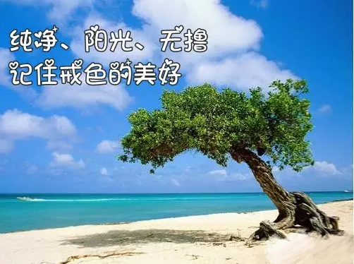 QQ截图7_看图王.png