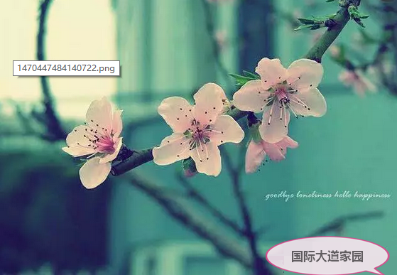 QQ截图20180420150446_看图王.png