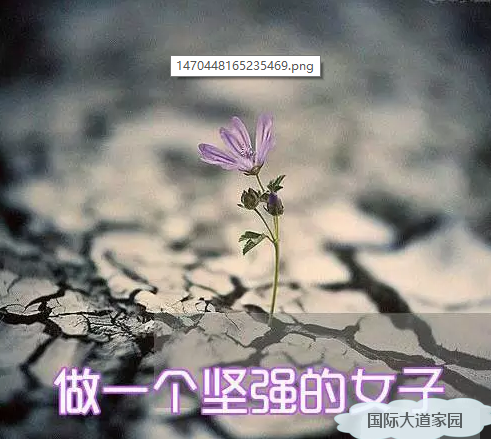 QQ截图20180420150526_看图王.png
