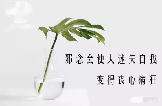 QQ截图20180503155741_看图王.png