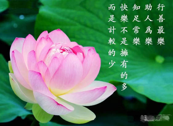 QQ截图20180506144017_看图王.png