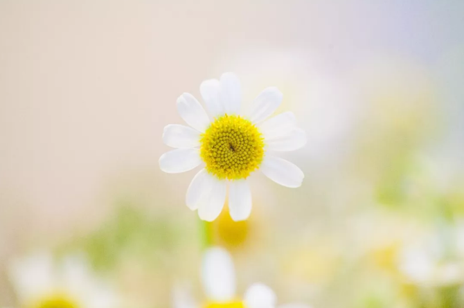 QQ截图20190501151555.png