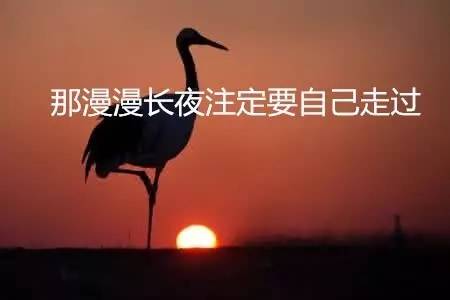 07491b203ebc425998ac233adafaaf2d_th.png