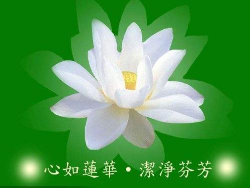 u=835791612,2887487064&amp;fm=15&amp;gp=0.jpg