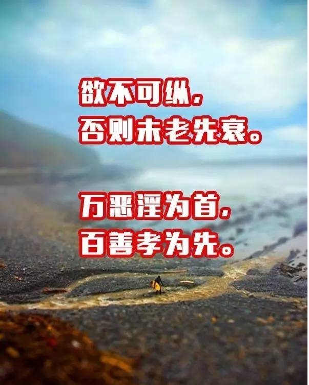 36b4e4b5f64f4a648cf473f2e6af9a7a_th.jpg