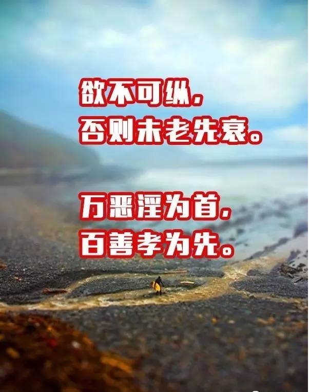 36b4e4b5f64f4a648cf473f2e6af9a7a_th.jpg