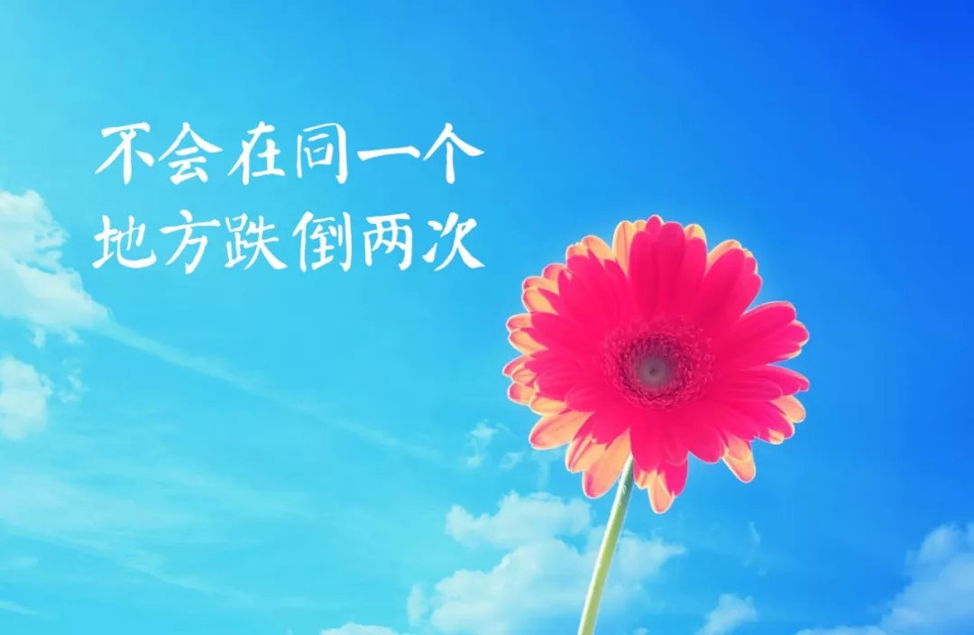 006C2Rcfly4g0153yvj8wj30u00jkjrv.jpg