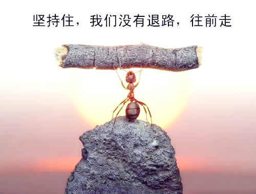 微信图片_20200418164122.jpg