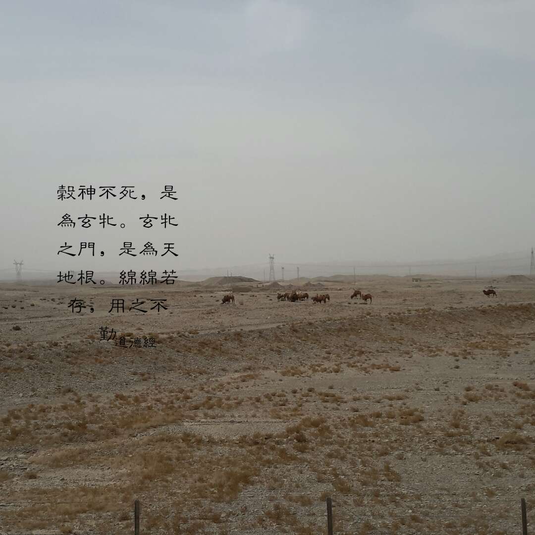 微信图片_20200418164141.jpg