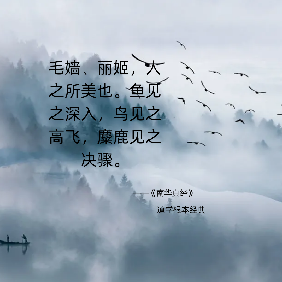 图片18.png