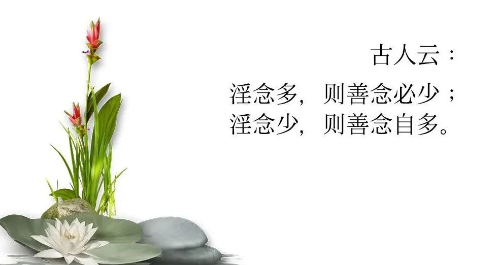 图片14.png