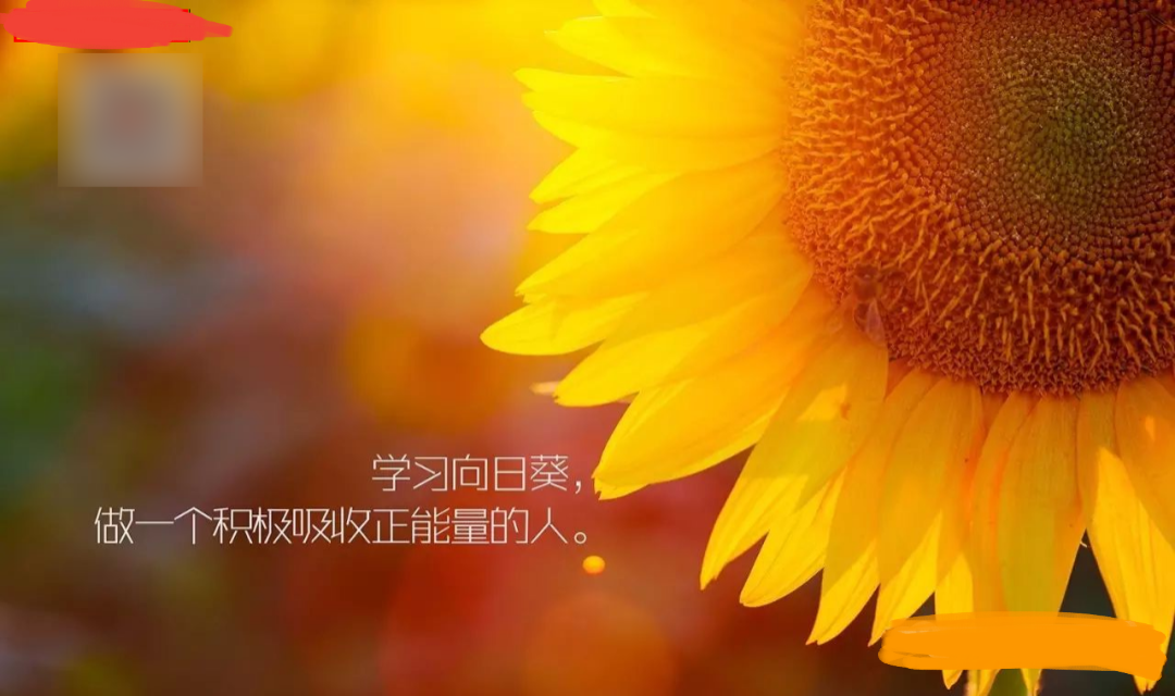 Studio_20200508_132017.png