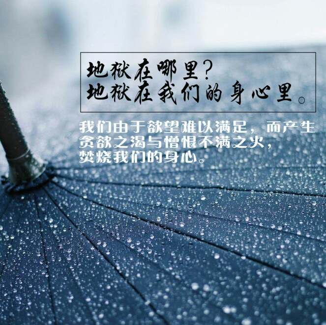 图片13.png