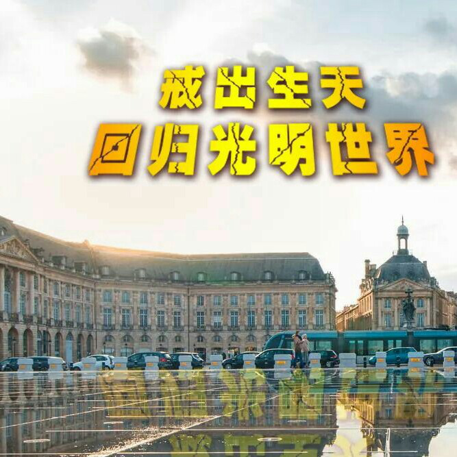 图片12.png