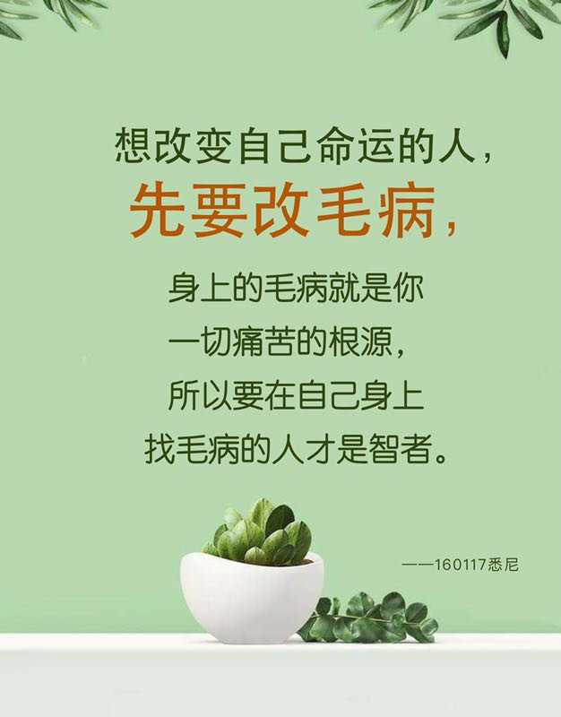 图片14.png