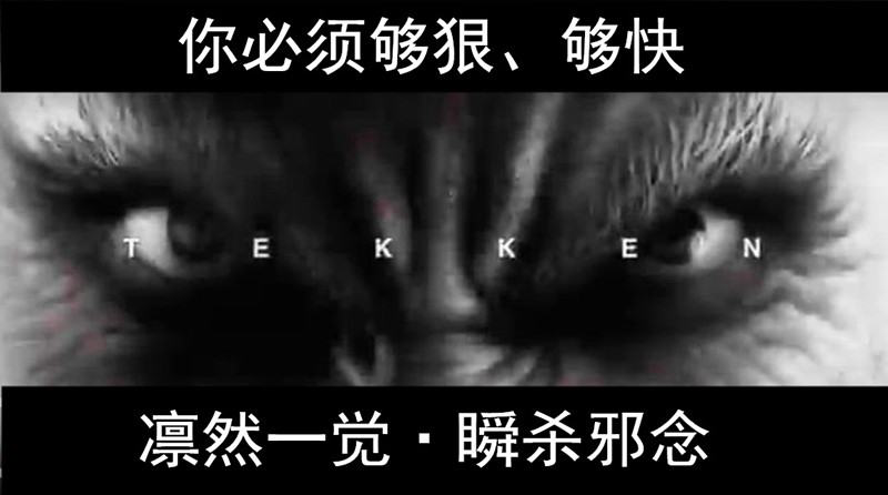 图片10.png