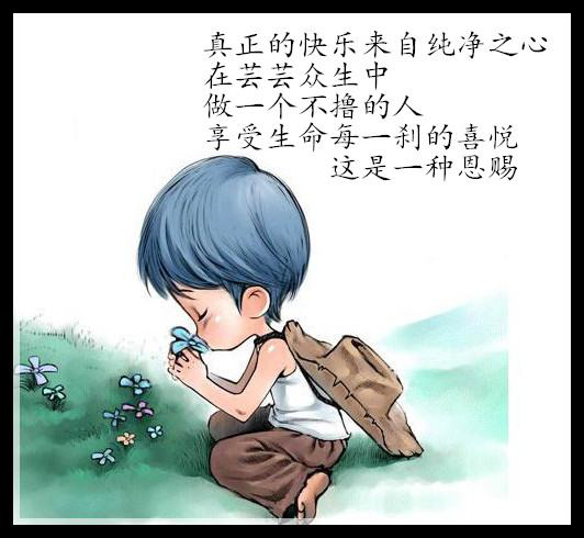 图片14.png