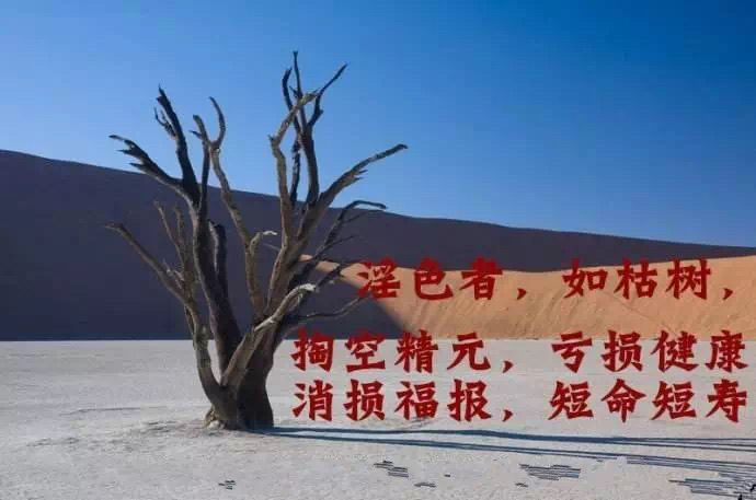 图片8.png