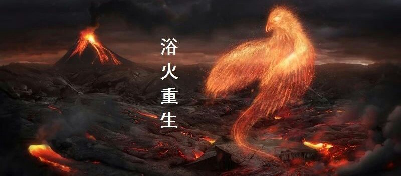 图片13.png