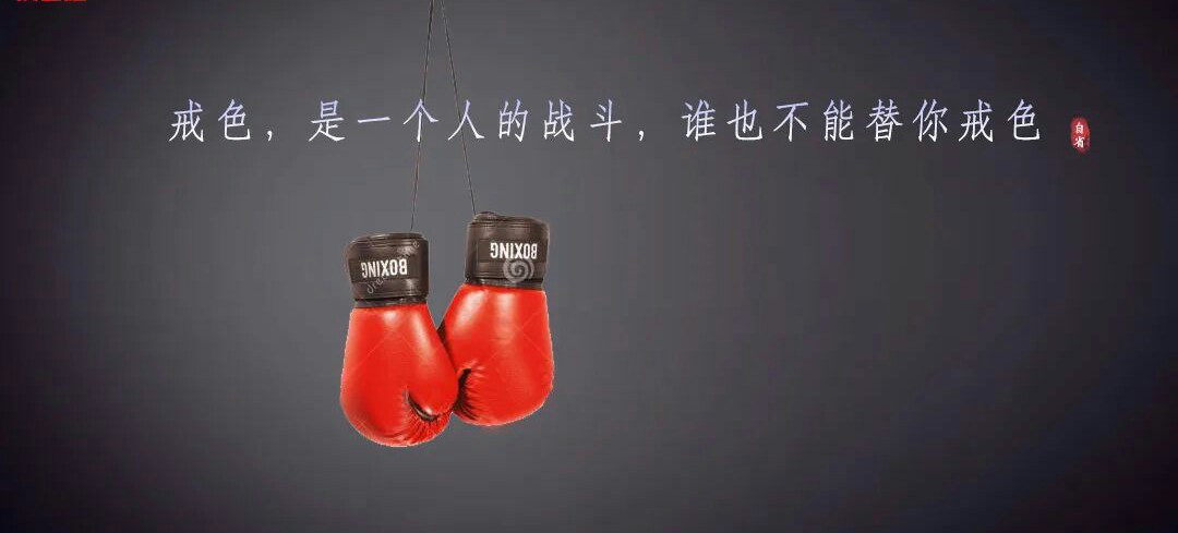 图片15.png