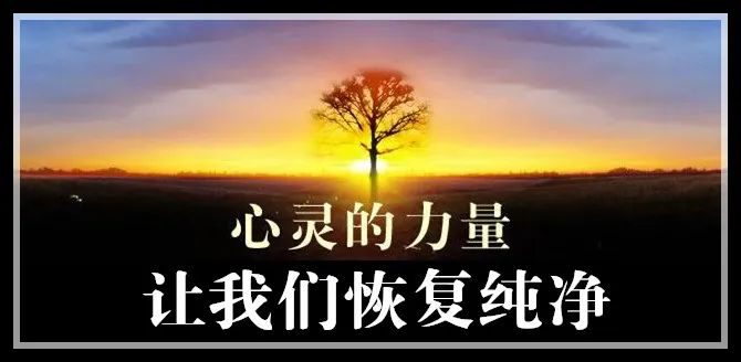 图片16.png