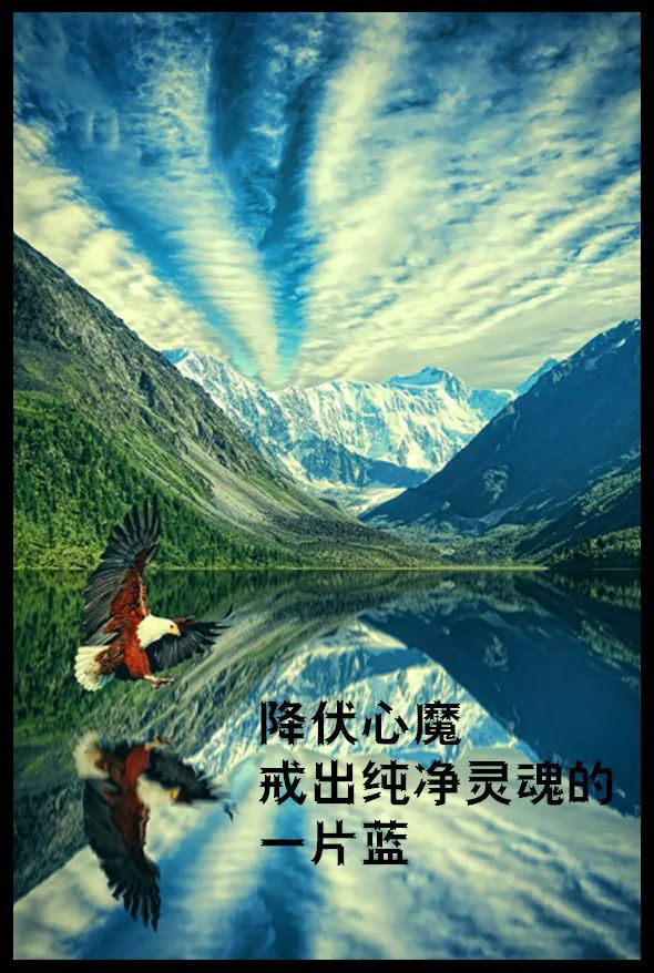 图片13.png