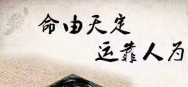 图片16.png