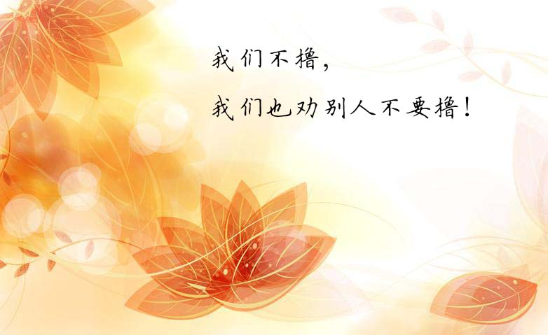 图片24.png