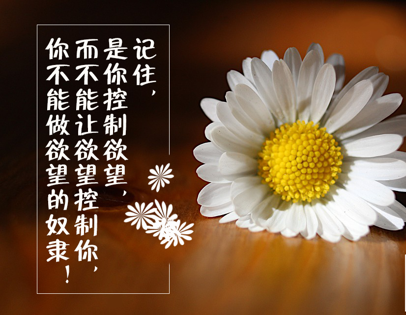 mmexport1592032941042-1.png