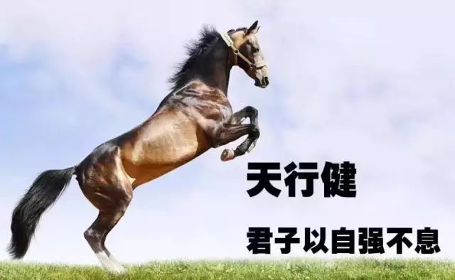 mmexport1593330547583.jpeg