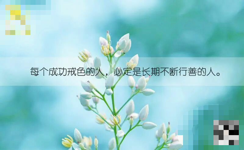 图片8.png