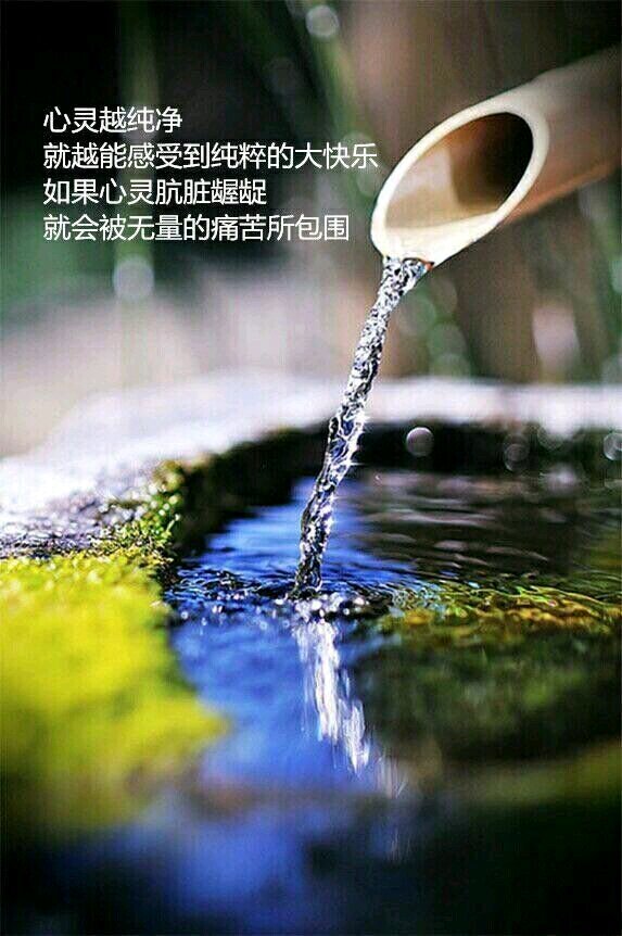 caf13b6d55fbb2fbb972fbc4414a20a44723dcaf.jpg