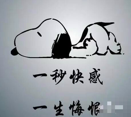 图片13.png