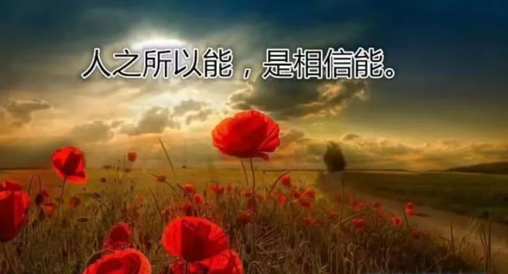 图片23.png