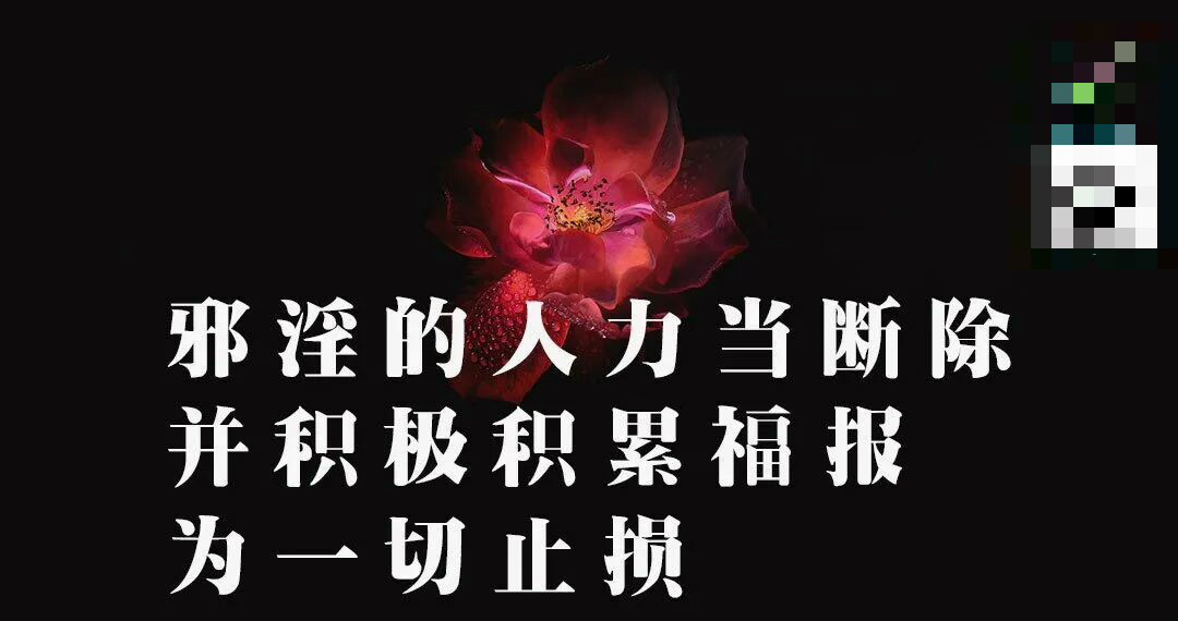 图片24.png