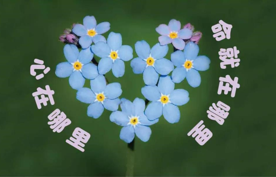 微信图片_20201209101256.jpg