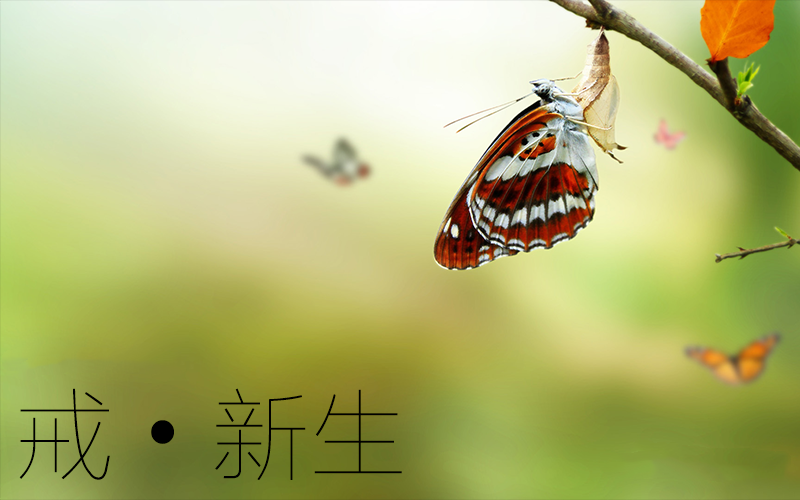 微信图片_20201213185620.png