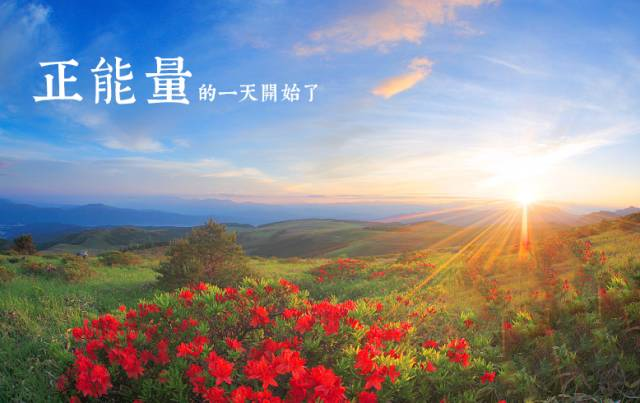 Image1_5.png