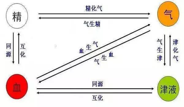 中医“精”.jpg