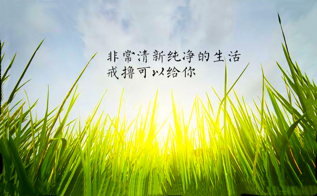 微信图片_20201204090239.png