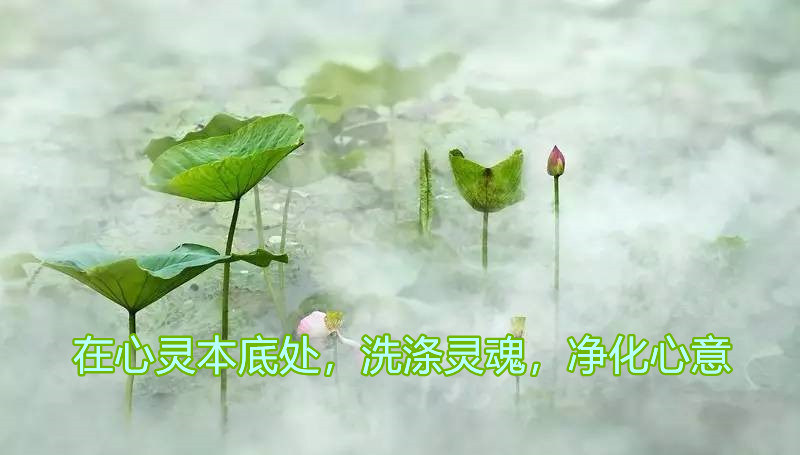 src=http___img.mp.itc.cn_upload_20170628_f7fea3ee934e46cd9fce3b107abe4b47_th.jpg.jpg