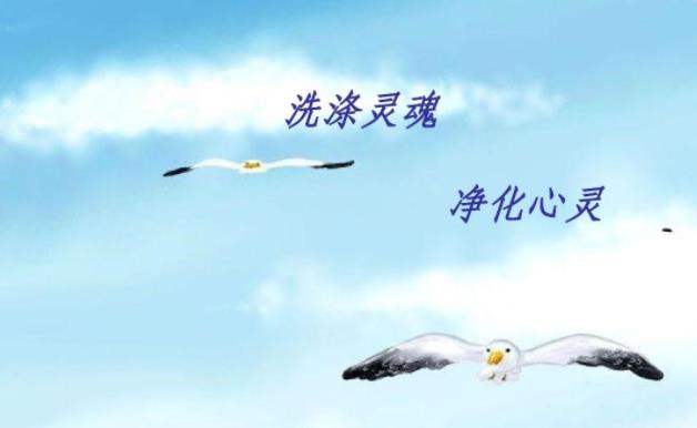 净化心灵.jpg
