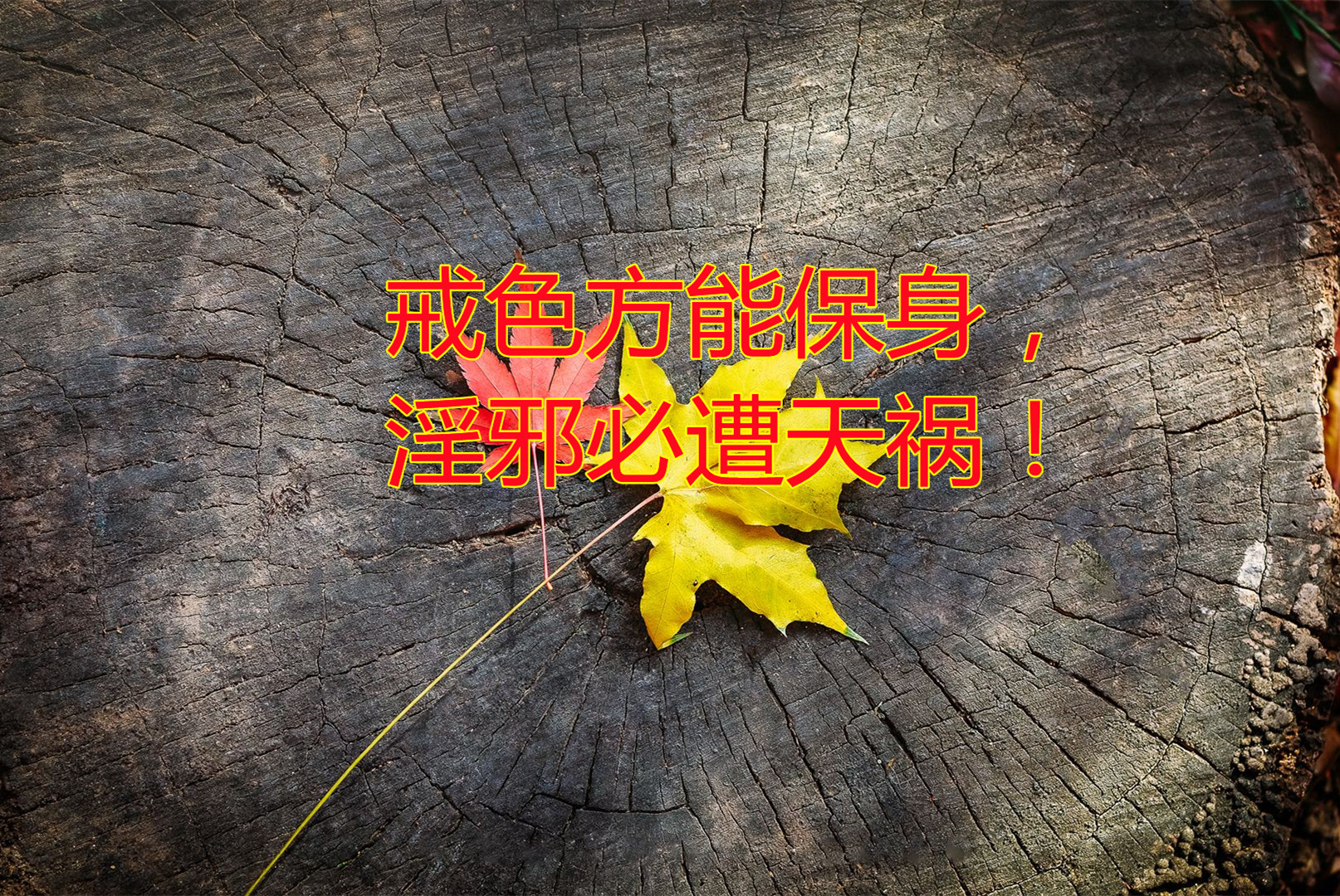 断除淫邪_副本.jpg