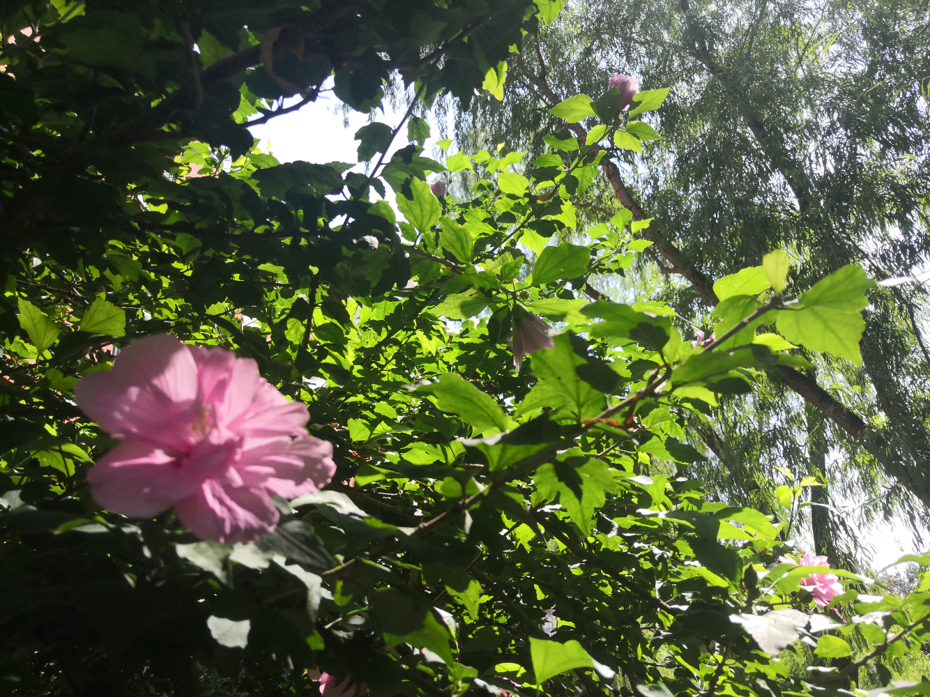 IMG_20230830_111537.jpg